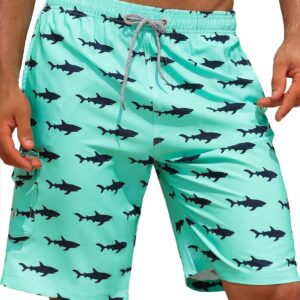 APTRO Men's Swim Trunks 9" Quick Dry Bathing Suit Big & Tall Beach Swimsuits